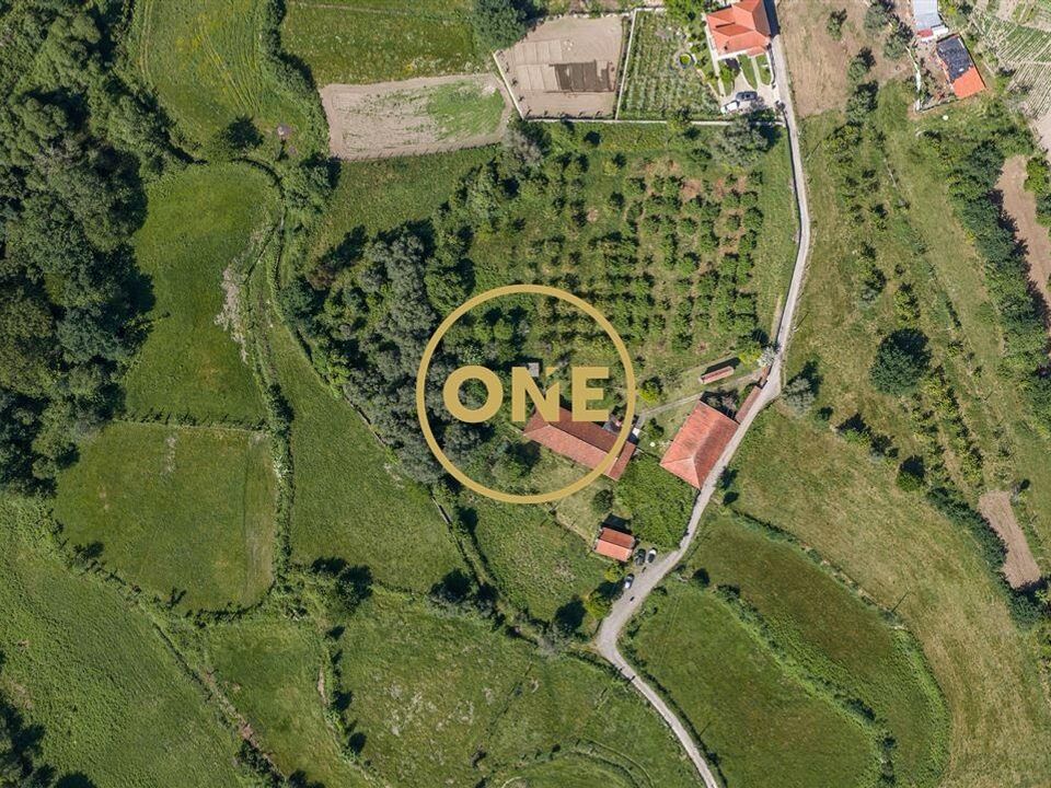 Farm i Vila Verde, Braga - foto 4