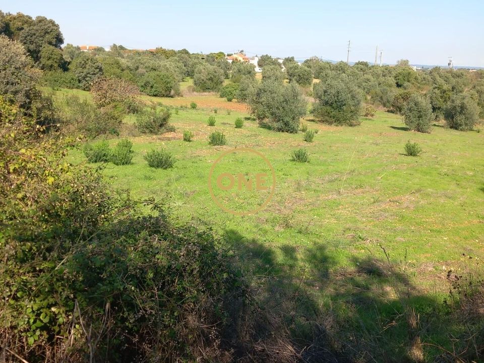 Helårsgrund i Tomar, Santarem - foto 1