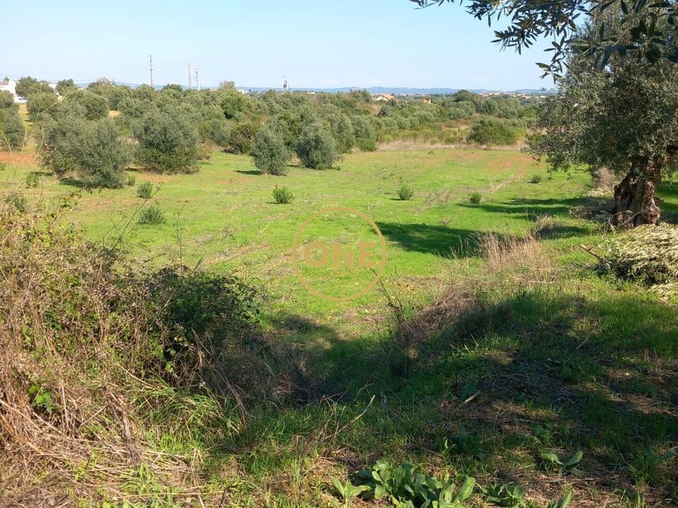 Helårsgrund i Tomar, Santarem - foto 2