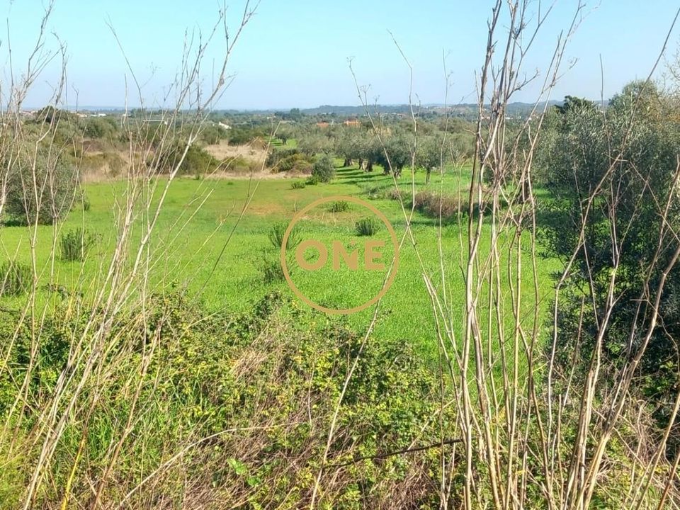 Helårsgrund i Torres Novas, Santarem - foto 1