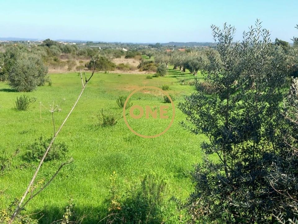 Helårsgrund i Torres Novas, Santarem - foto 2