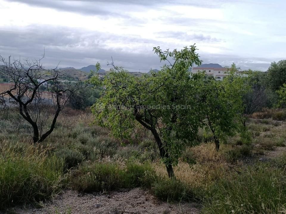 Gårdshus i Albox, Almeria - bilde 5