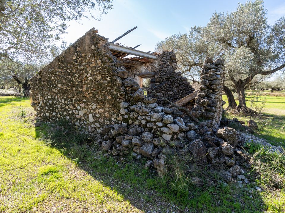 Finca i La Galera, Tarragona - foto 5