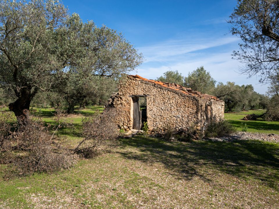 Finca i La Galera, Tarragona - foto 1