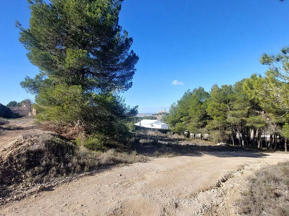 Tomt i Biar, Alicante - bilde 5