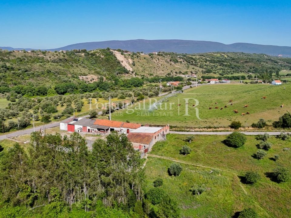 Farm i Torres Novas, Santarem - foto 3