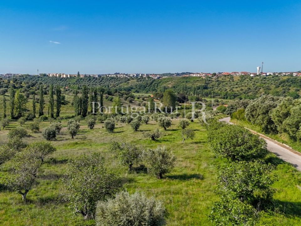 Farm i Torres Novas, Santarem - foto 5