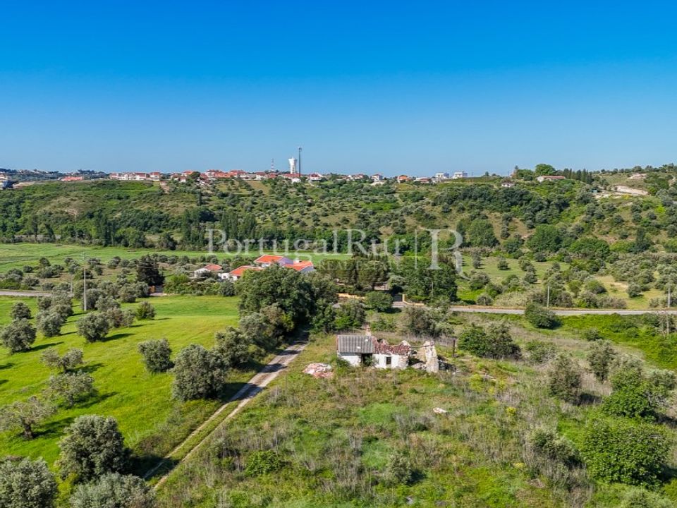 Farm i Torres Novas, Santarem - foto 1
