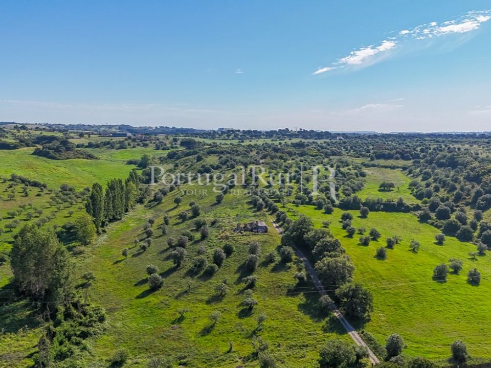 Farm i Torres Novas, Santarem - foto 4