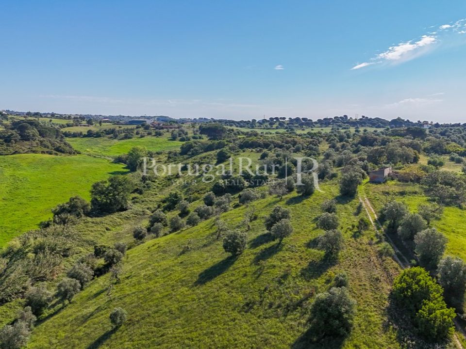 Farm i Torres Novas, Santarem - foto 5