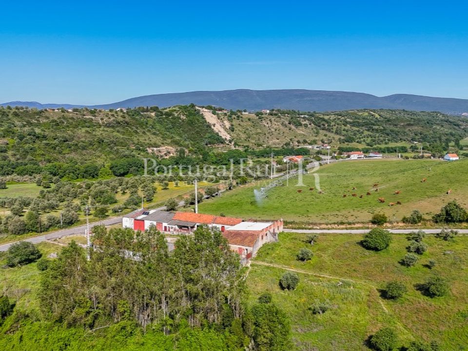 Farm i Torres Novas, Santarem - foto 1