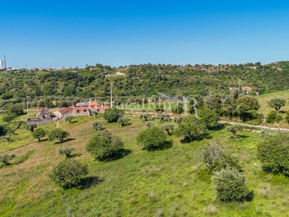 Farm i Torres Novas, Santarem - foto 2