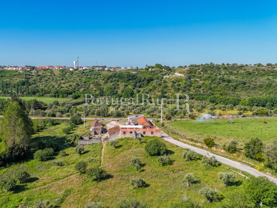 Farm i Torres Novas, Santarem - foto 4