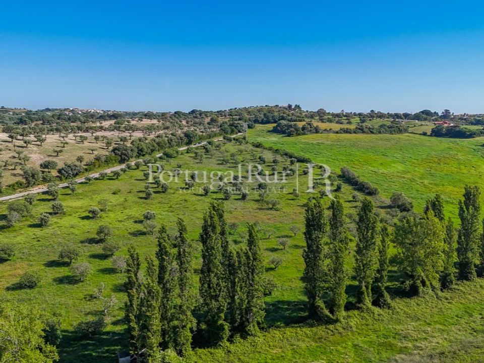 Farm i Torres Novas, Santarem - foto 5