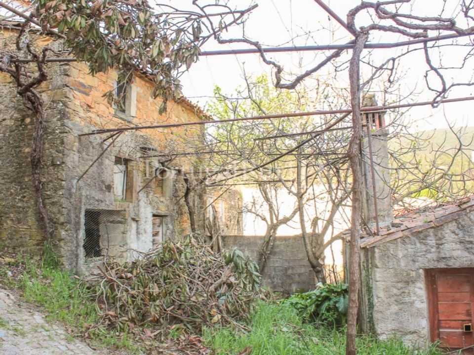 Landejendom i Proenca-a-Nova, Castelo Branco - foto 3