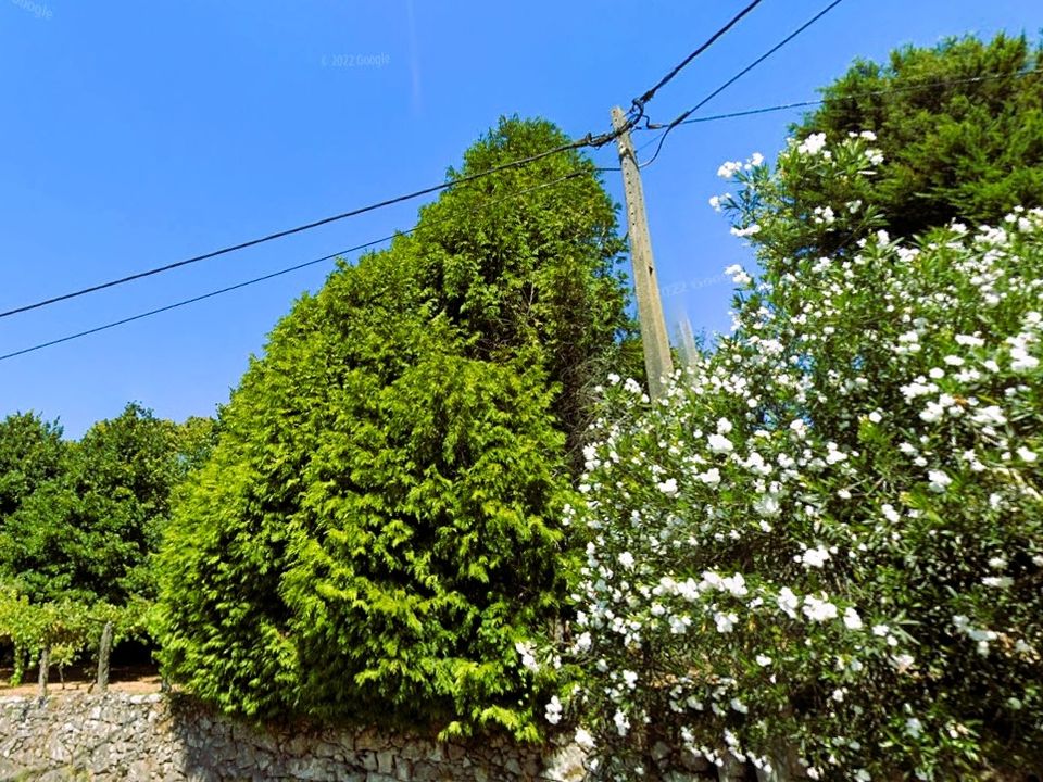Helårsgrund i Caminha, Viana do Castelo - foto 4