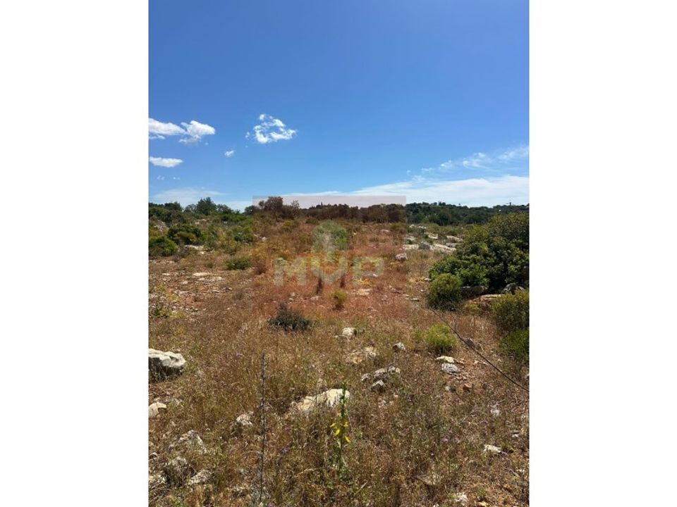 Helårsgrund i Quelfes, Faro - foto 3