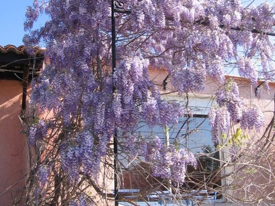 Lejlighed i Velaux, Bouches-du-Rhone - foto 5