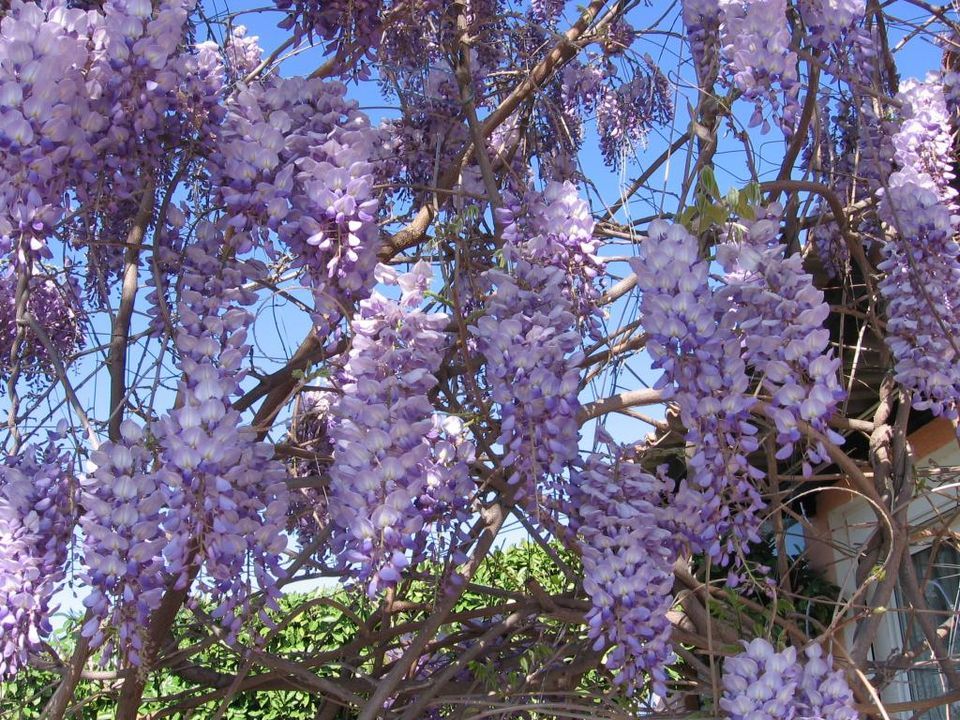 Lejlighed i Velaux, Bouches-du-Rhone - foto 2