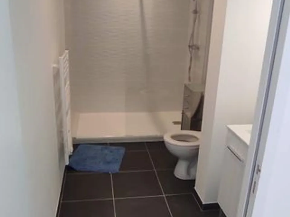 Apartment in Angers, Maine-et-Loire - photo 3