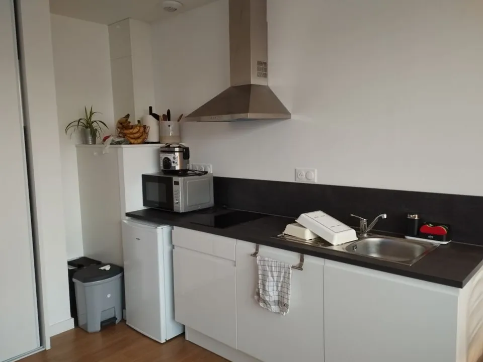 Apartment in Angers, Maine-et-Loire - photo 5