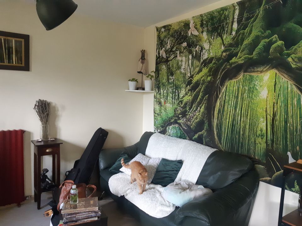 Studio i Boissy-sous-Saint-Yon, Essonne - foto 4