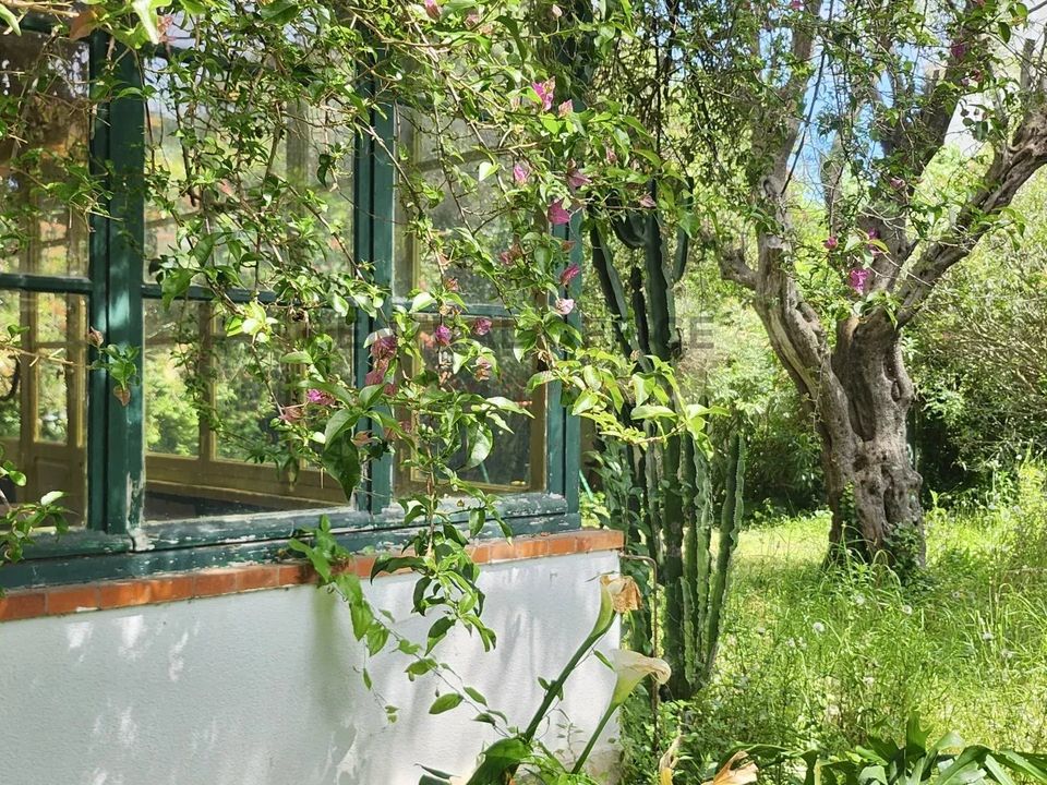 Villa i Antibes, Alpes-Maritimes - foto 3