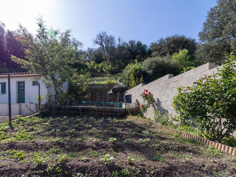 Lejlighed i Le Bousquet-d'Orb, Herault - foto 2