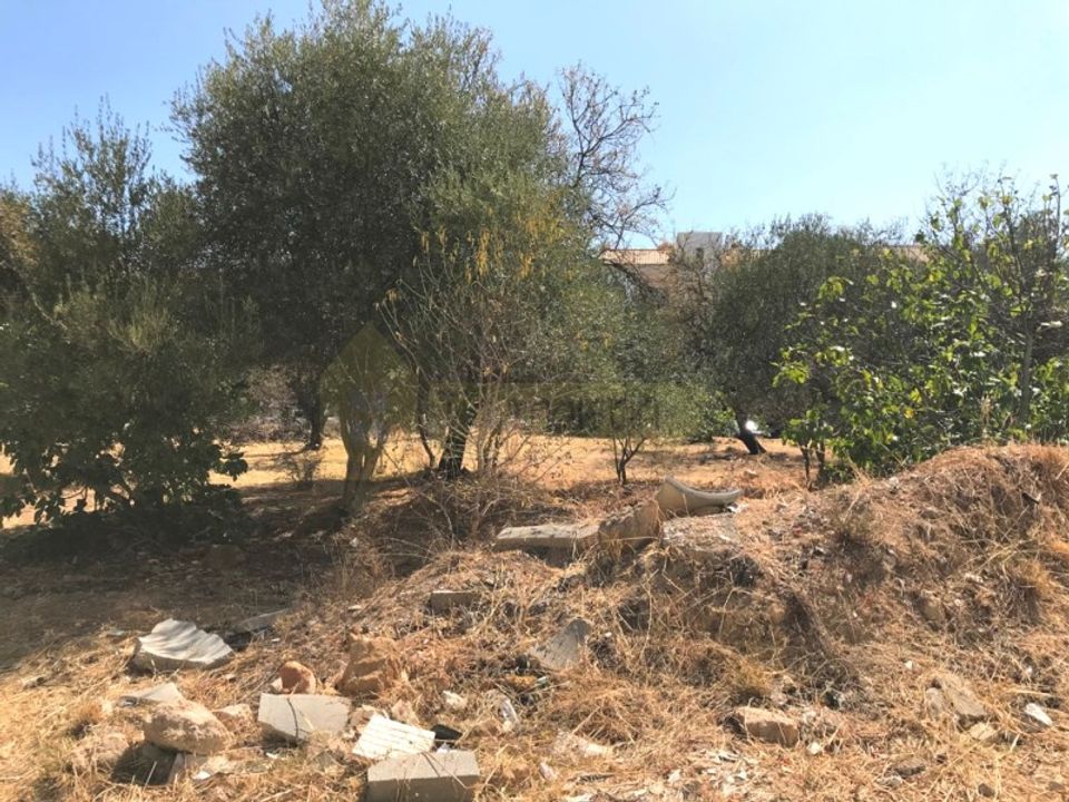 Helårsgrund i Almancil, Faro - foto 2