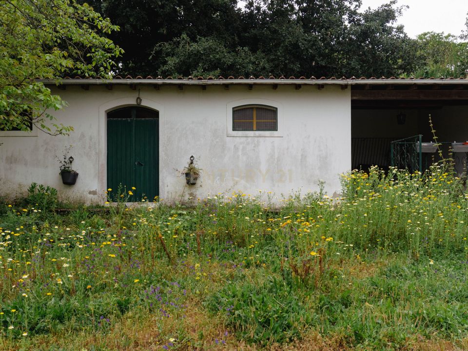 Helårsgrund i Alenquer, Lisbon - foto 3