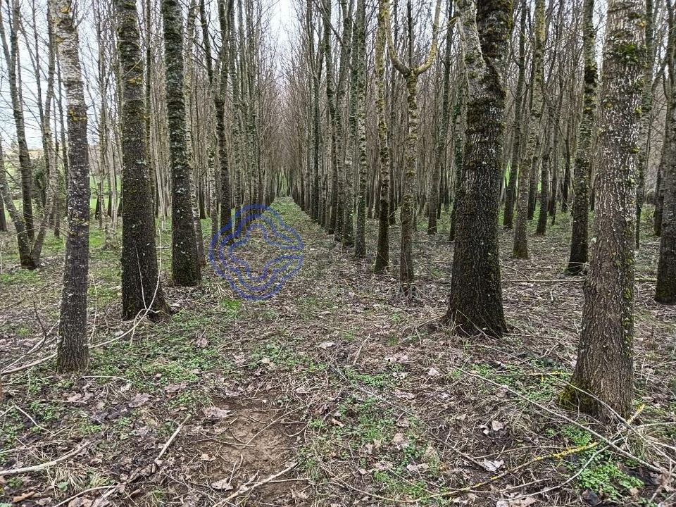 Terra a Vinhais, Braganca - foto 1