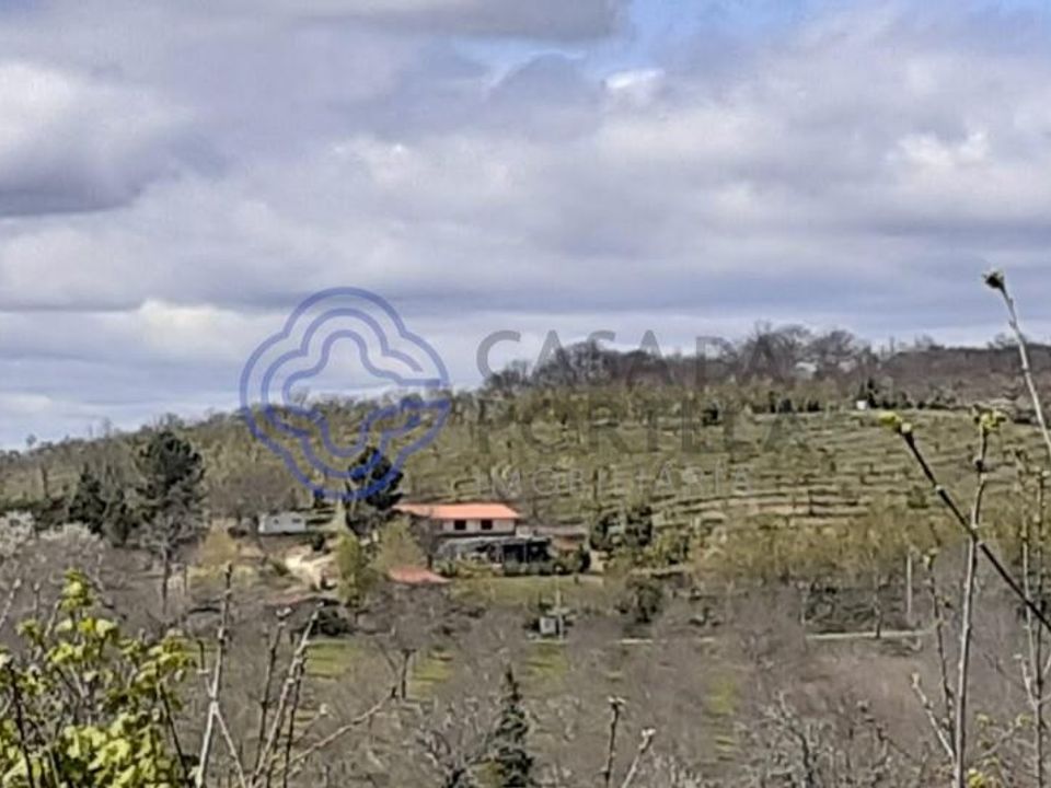 Terra a Vinhais, Braganca - foto 2