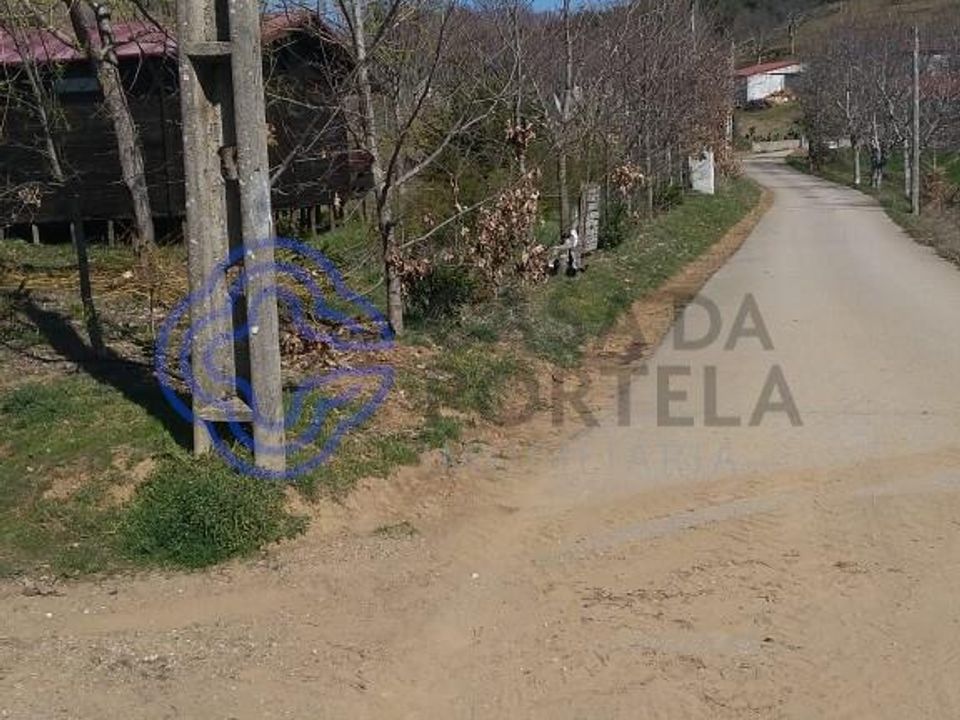 Terra a Vinhais, Braganca - foto 5