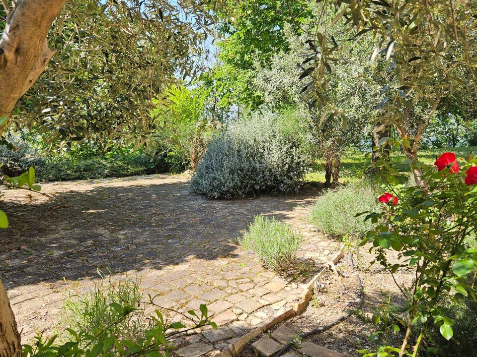 Herregård i Colli al Metauro, Pesaro and Urbino - bilde 3