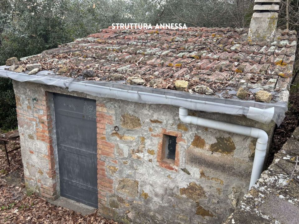 Willa: Roccatederighi, Grosseto – zdjęcie 3