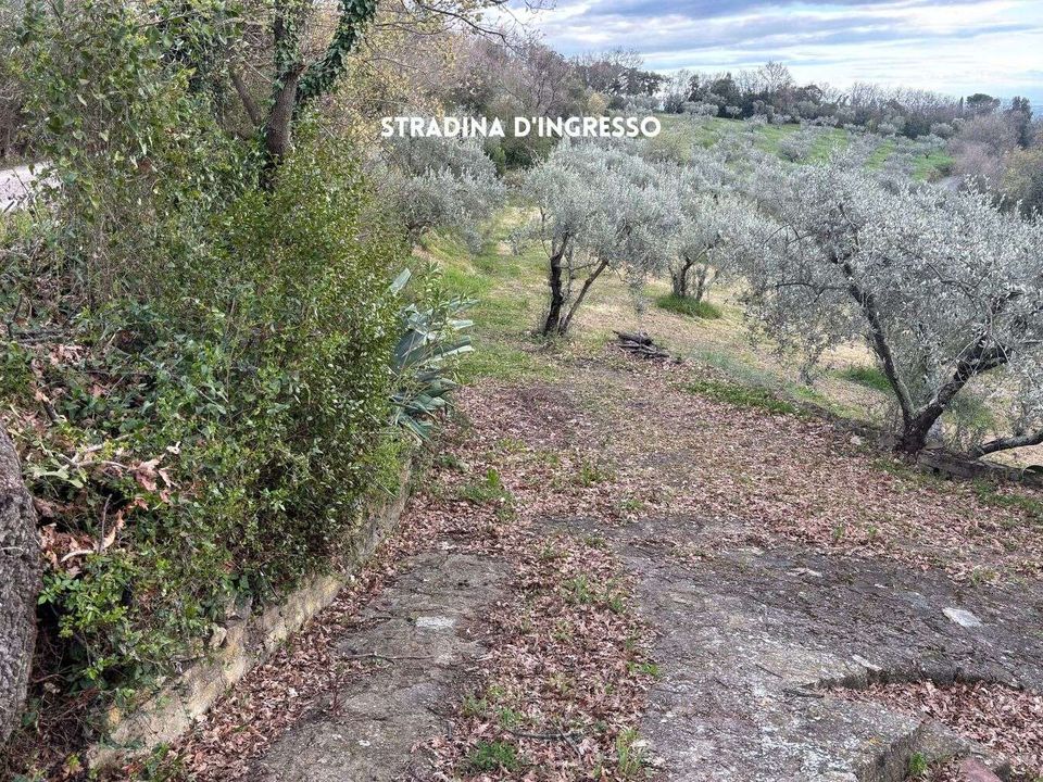 Willa: Roccatederighi, Grosseto – zdjęcie 4
