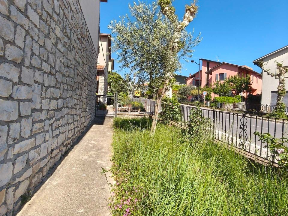 Villa i Avigliano Umbro, Terni - foto 5