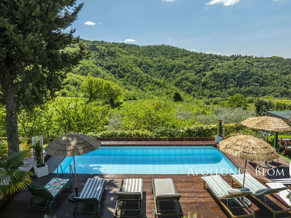Farm hus i Greve in Chianti, Florence - foto 5