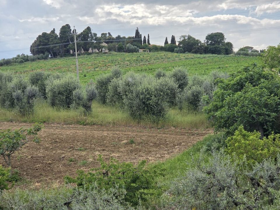 Lejlighed i Sant'Elpidio a Mare, Fermo - foto 5