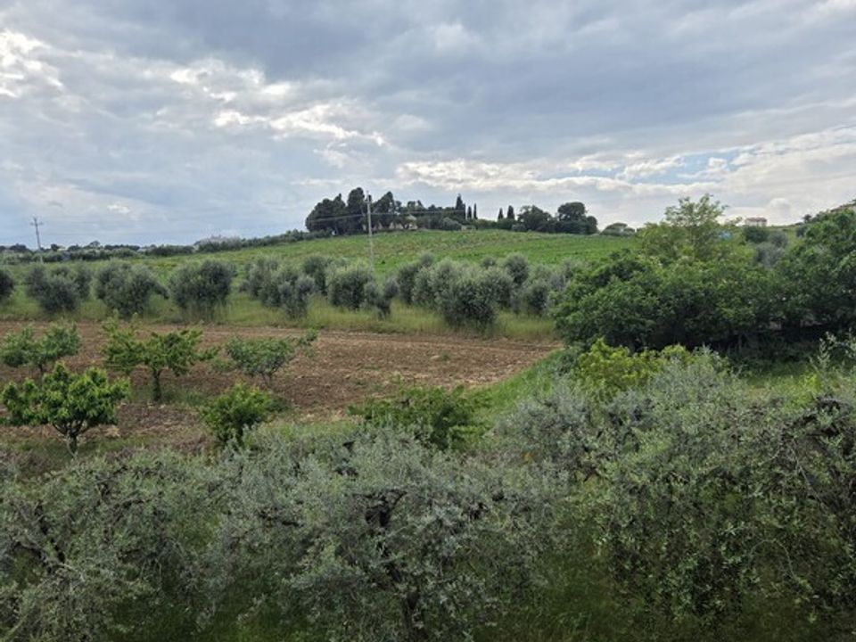 Lejlighed i Sant'Elpidio a Mare, Fermo - foto 5