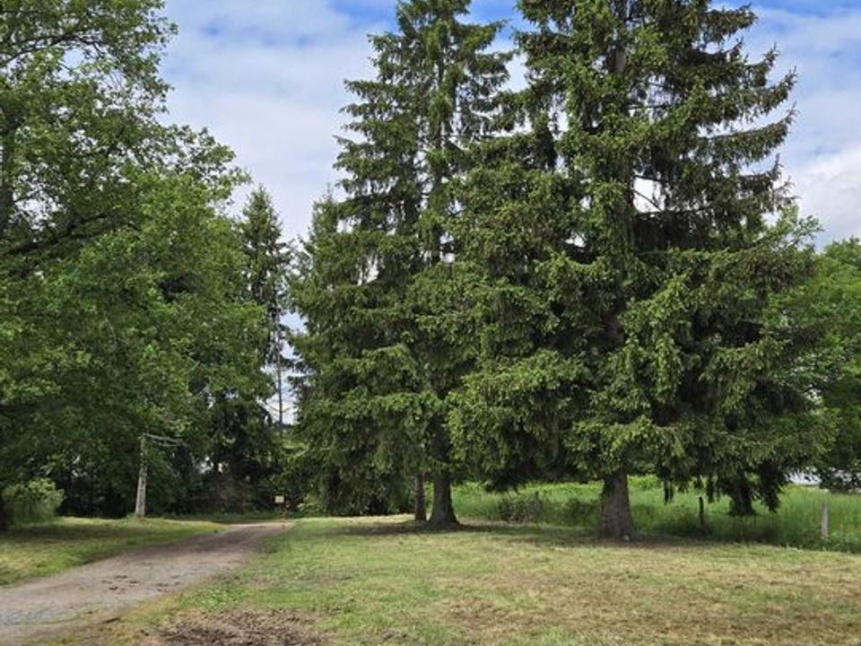 Villa i Lapalisse, Allier - foto 2