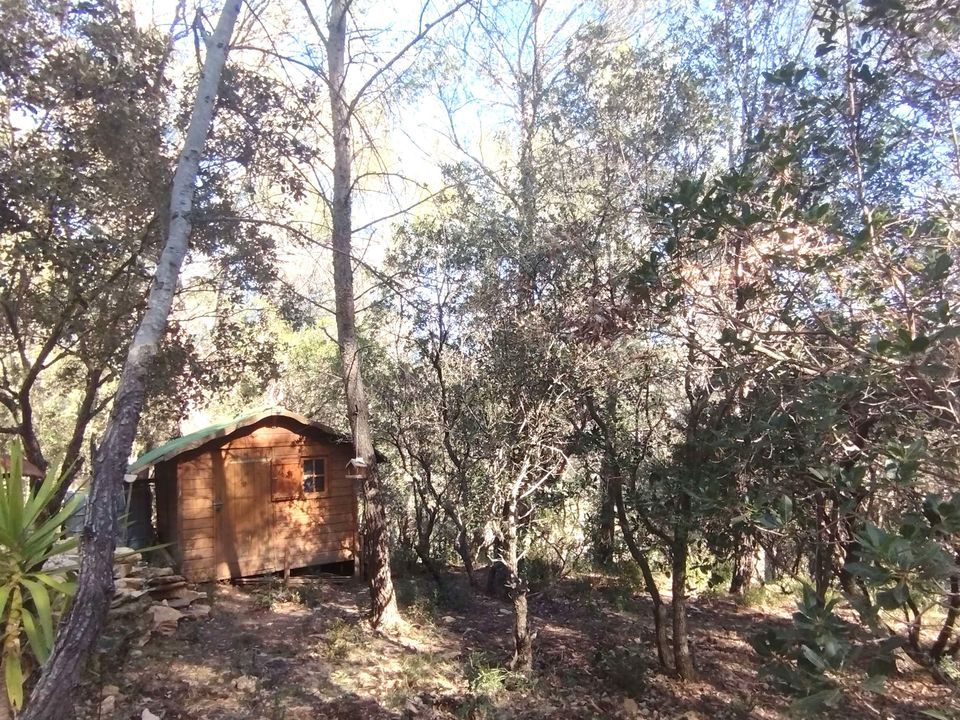 Helårsgrund i Le Beausset, Var - foto 2