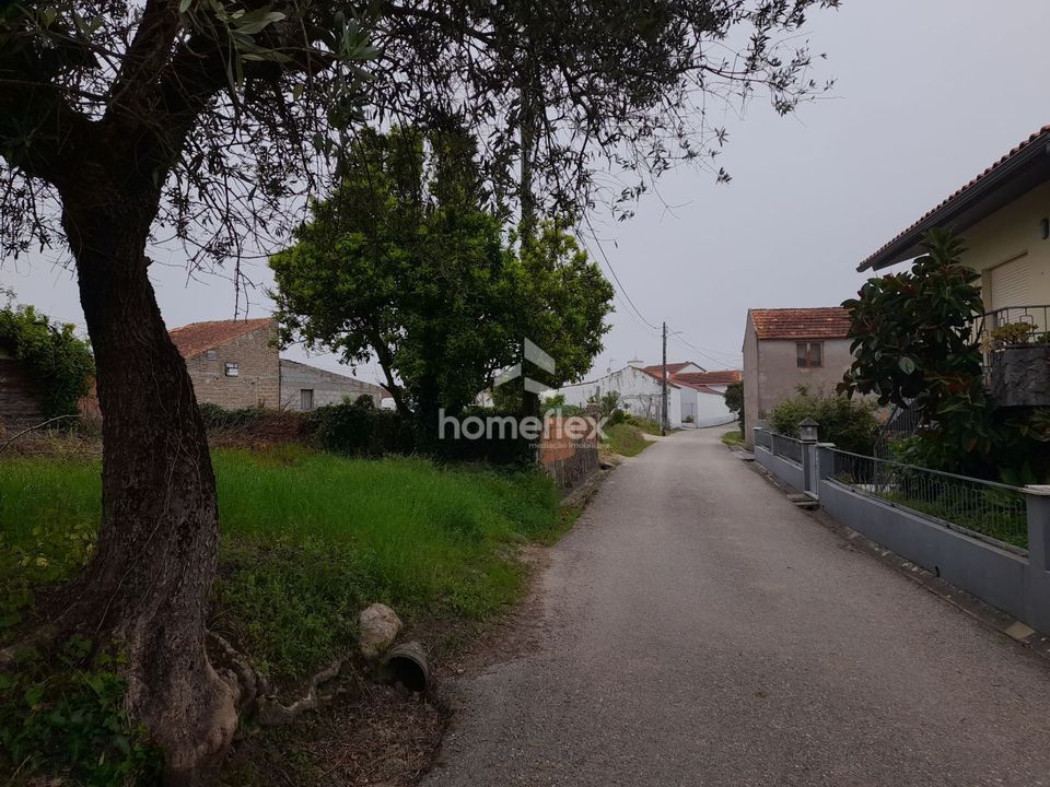Terreno en Soure, Coimbra - foto 3