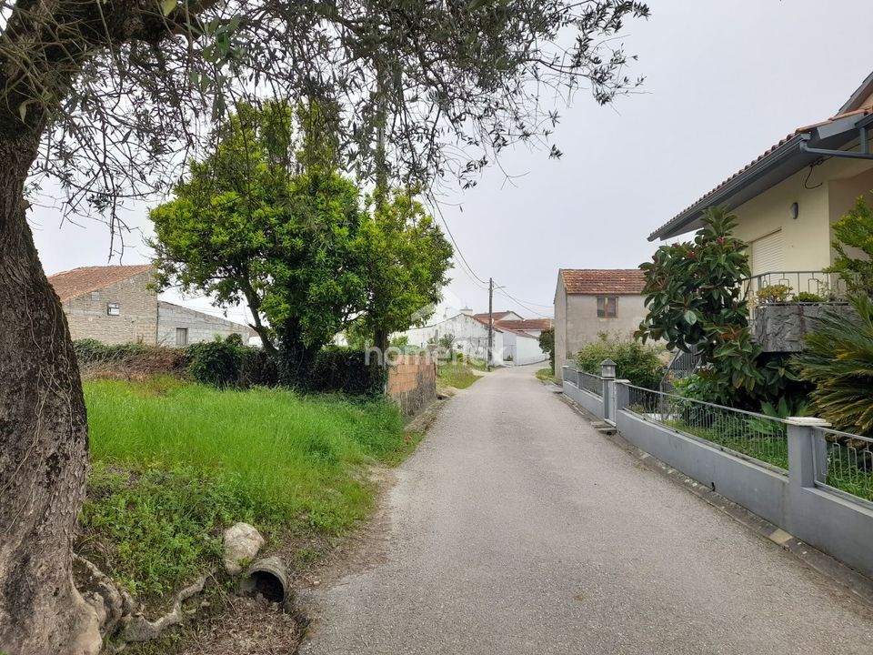 Terreno en Soure, Coimbra - foto 4