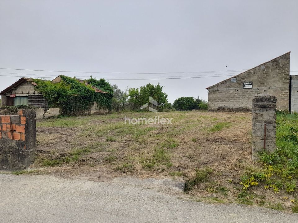 Terreno en Soure, Coimbra - foto 5