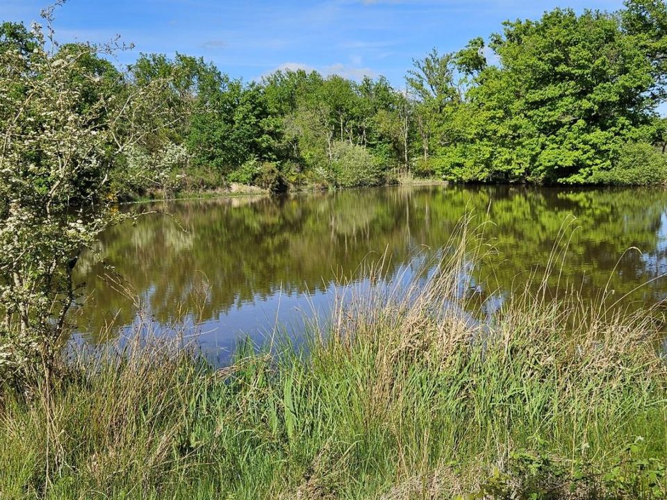 Grond in Migne, Indre - foto 3