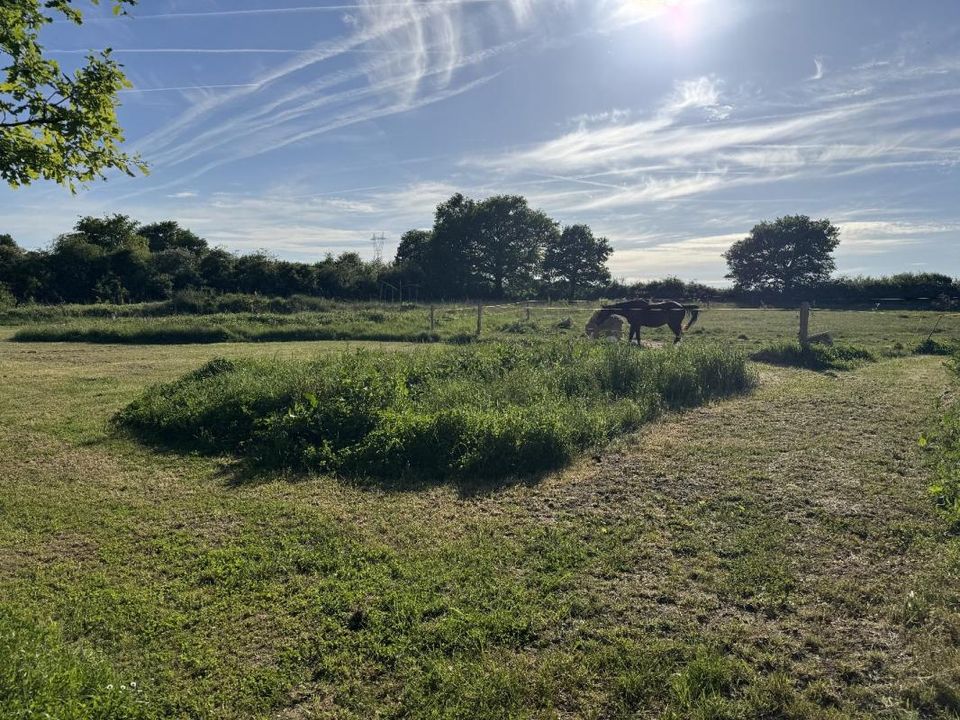Landejendom i Belabre, Indre - foto 3