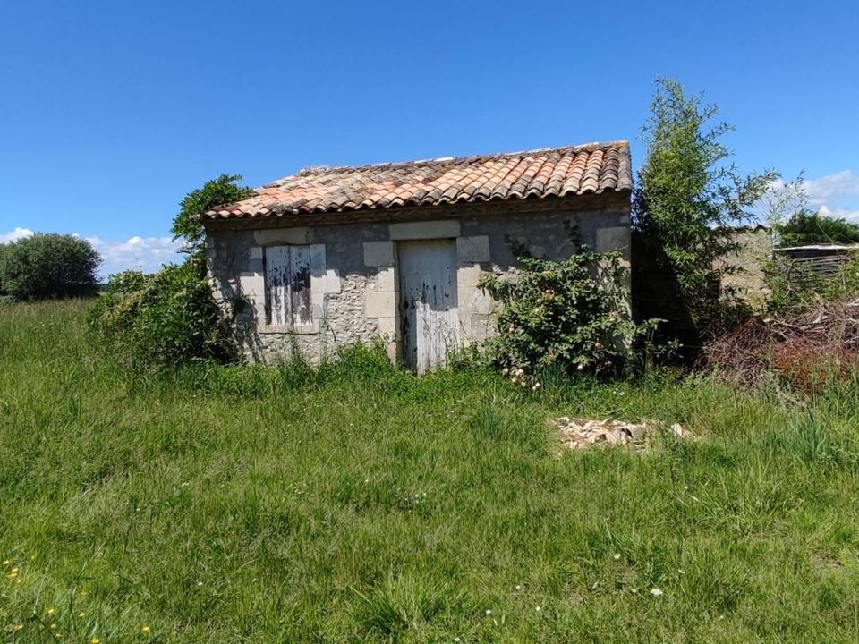 Villa i Saint-Ciers-sur-Gironde, Gironde - foto 4