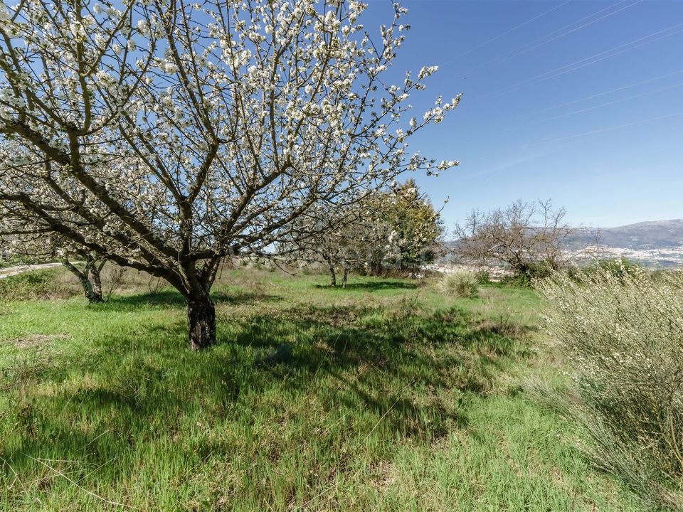 Farm i Covilha, Castelo Branco - foto 1