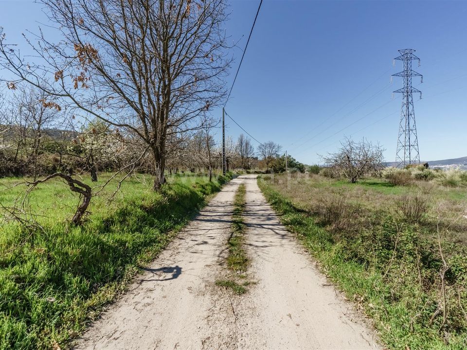 Farm i Covilha, Castelo Branco - foto 4